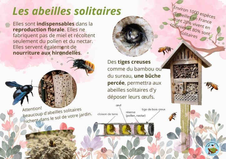 Panneau pédagogique Abeilles solitaires – Nature en Périgord